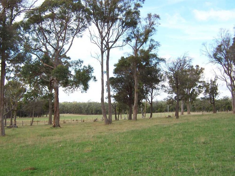 161 Back Creek Road, Pipers River TAS 7252