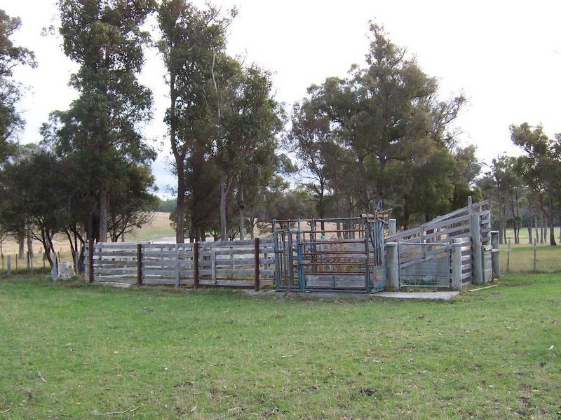 161 Back Creek Road, Pipers River TAS 7252