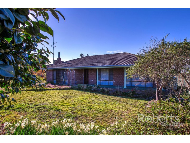 1 Bridview Place, Bridport TAS 7262
