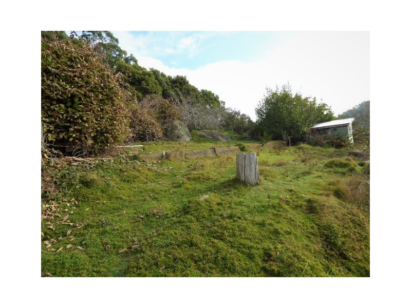 Lot 1 Allan Street, Derby TAS 7264