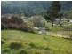 Lot 1 Allan Street, Derby TAS 7264