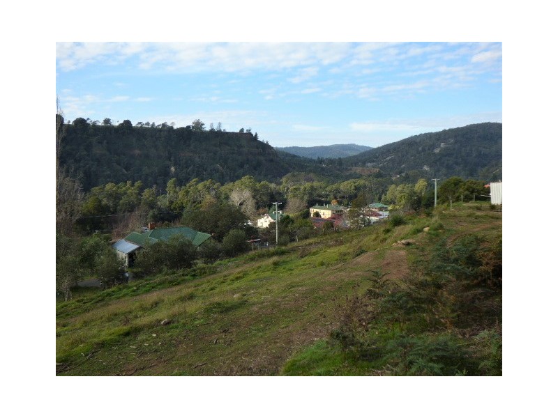 Lot 1 Allan Street, Derby TAS 7264