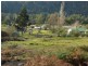 Lot 1 Allan Street, Derby TAS 7264