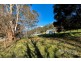 3 Hill Street, Derby TAS 7264