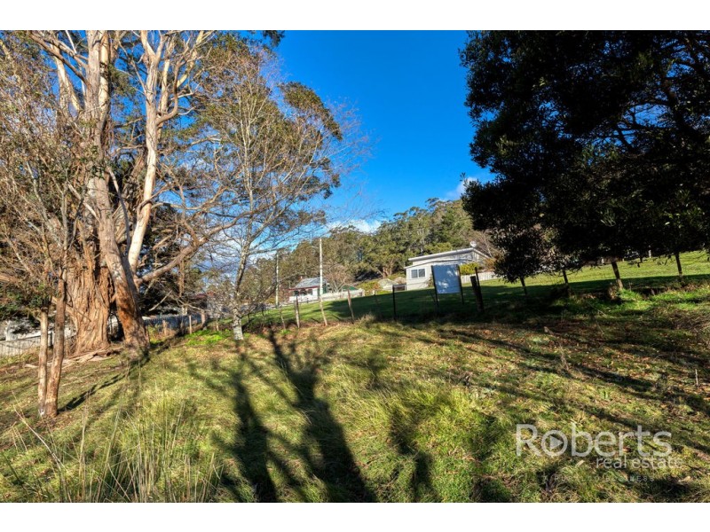 3 Hill Street, Derby TAS 7264