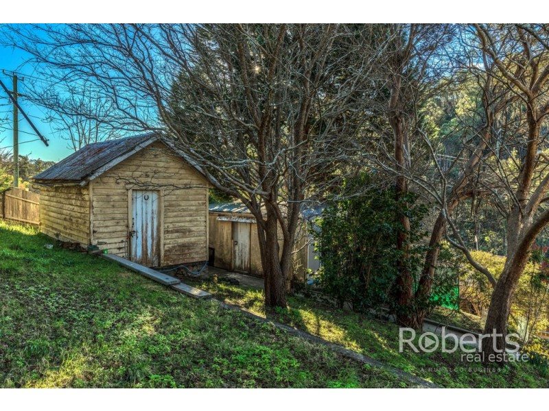 3 Hill Street, Derby TAS 7264