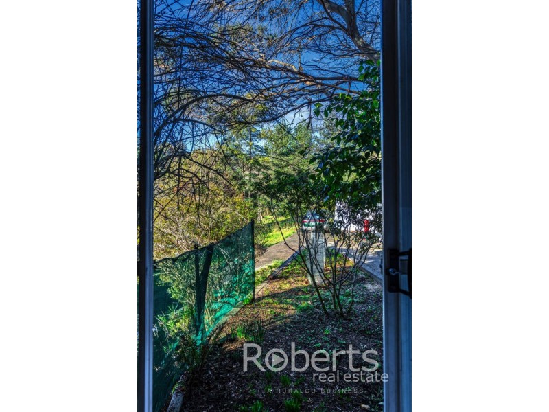 3 Hill Street, Derby TAS 7264