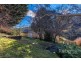 3 Hill Street, Derby TAS 7264