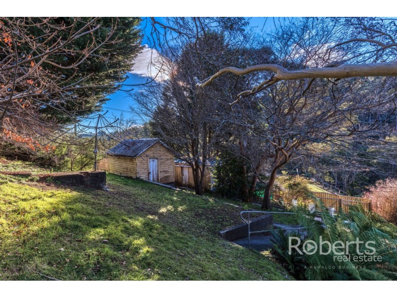 3 Hill Street, Derby TAS 7264