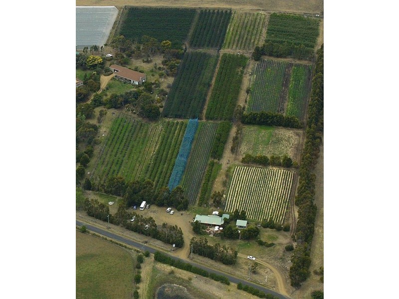 Sorell TAS 7172