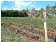 Sorell TAS 7172