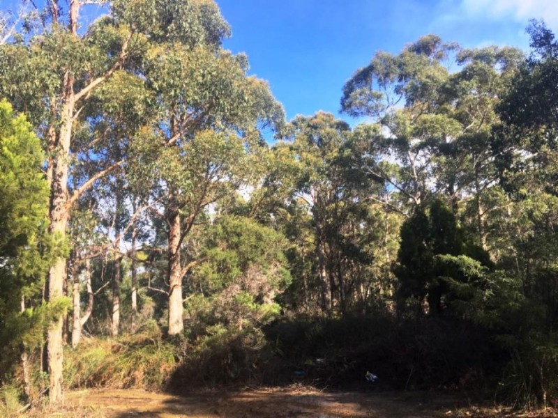 . Lady Bay Road, Southport TAS 7109