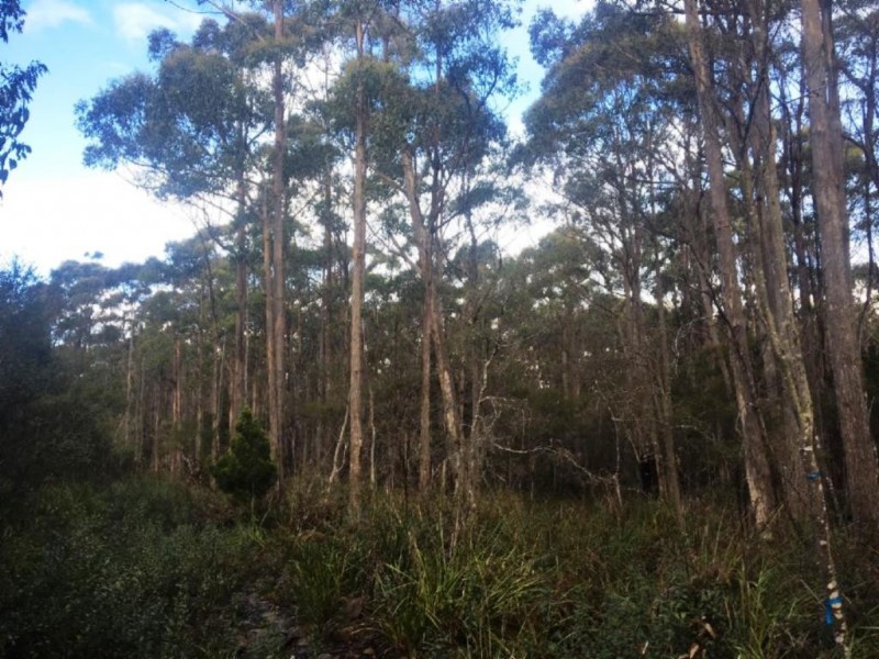 . Lady Bay Road, Southport TAS 7109