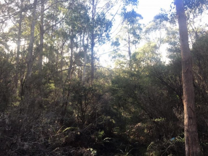 . Lady Bay Road, Southport TAS 7109