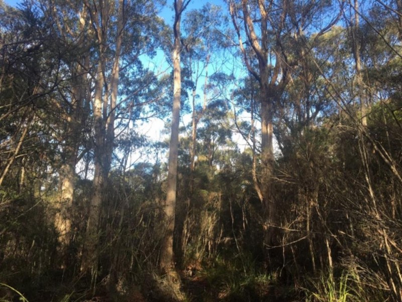 . Lady Bay Road, Southport TAS 7109