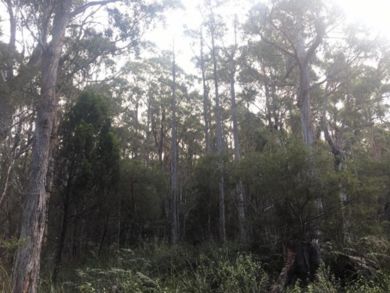 . Lady Bay Road, Southport TAS 7109