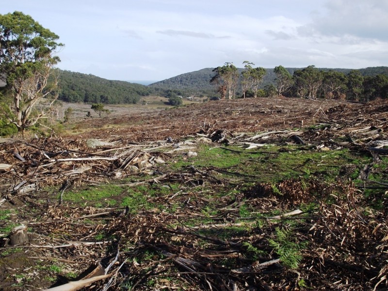 . Hardwicks Road and Stormlea Road, Highcroft TAS 7183