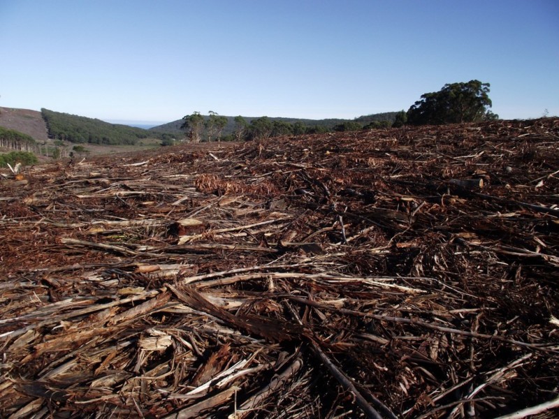 . Hardwicks Road and Stormlea Road, Highcroft TAS 7183