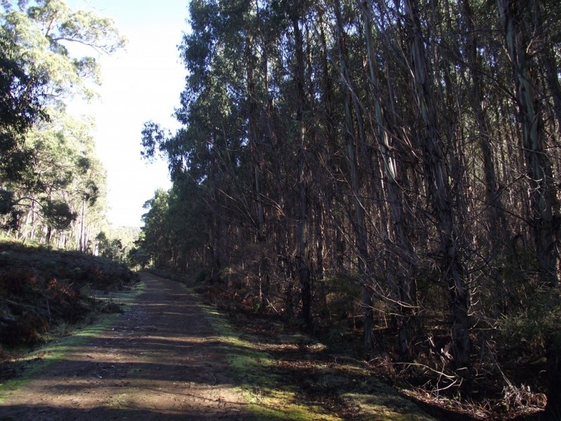 . Dam Road, Saltwater River TAS 7186