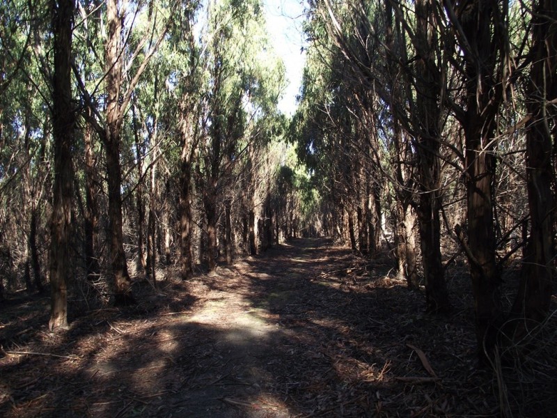 . Dam Road, Saltwater River TAS 7186