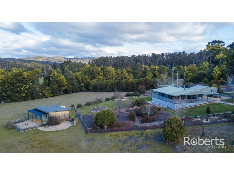 397 Jensens Road, Scottsdale TAS 7260