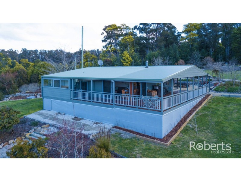 397 Jensens Road, Scottsdale TAS 7260