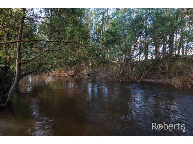 397 Jensens Road, Scottsdale TAS 7260