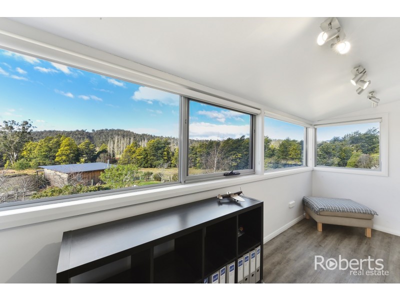 397 Jensens Road, Scottsdale TAS 7260