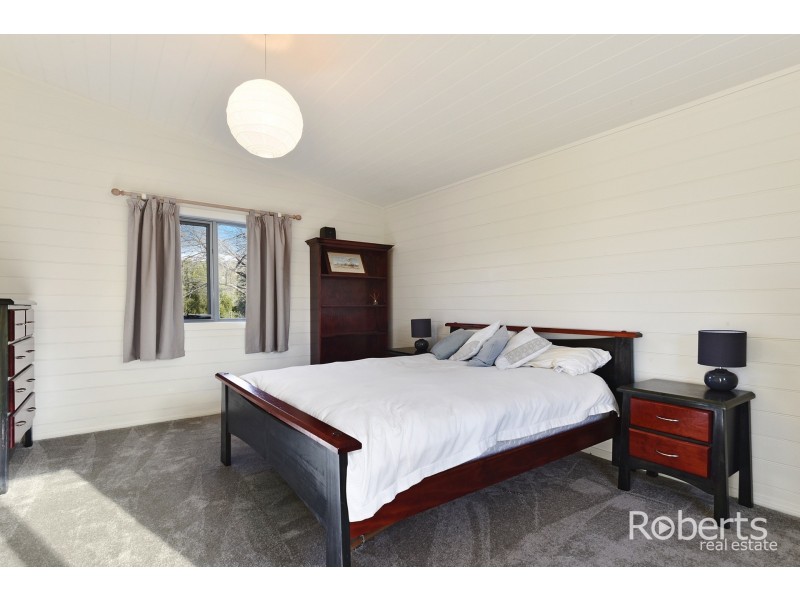 397 Jensens Road, Scottsdale TAS 7260