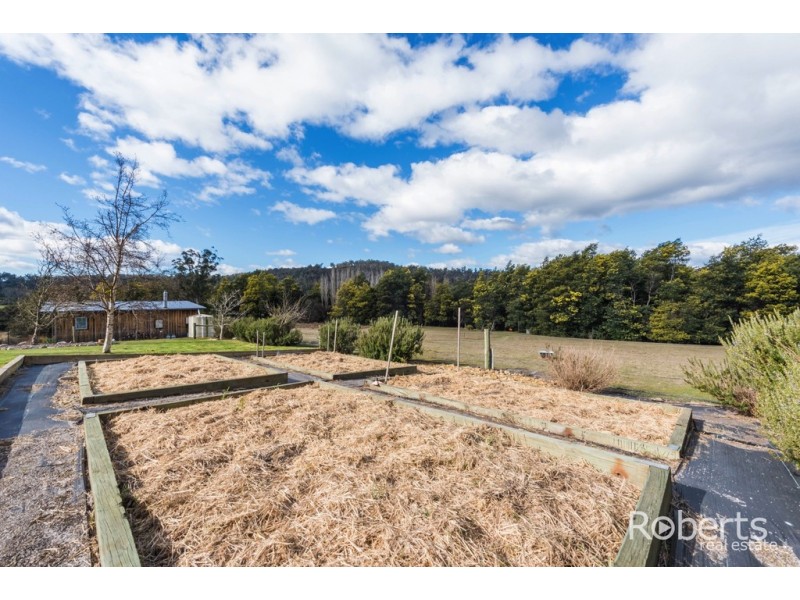 397 Jensens Road, Scottsdale TAS 7260