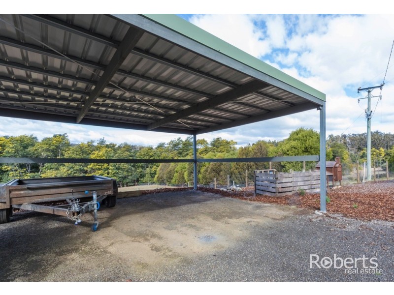 397 Jensens Road, Scottsdale TAS 7260