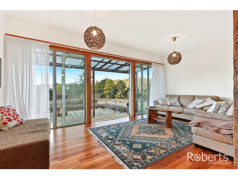 397 Jensens Road, Scottsdale TAS 7260