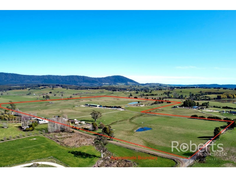 193 Pennells Road, Scottsdale TAS 7260