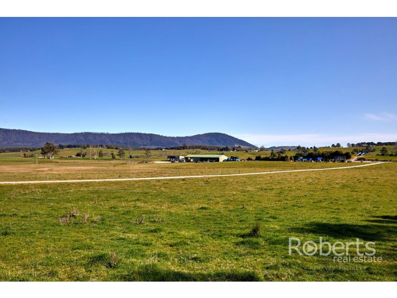 193 Pennells Road, Scottsdale TAS 7260