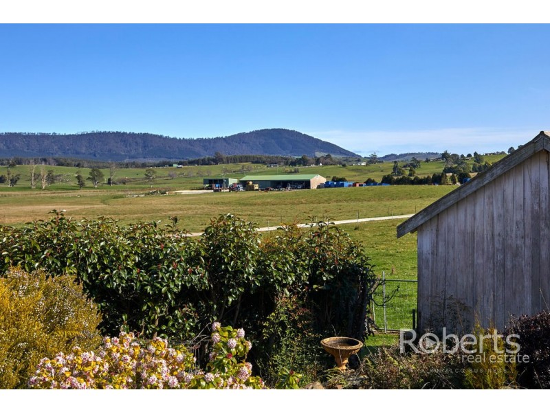 193 Pennells Road, Scottsdale TAS 7260