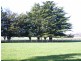 Hagley TAS 7292
