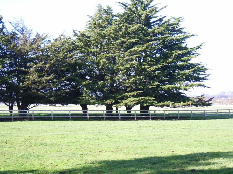 Hagley TAS 7292