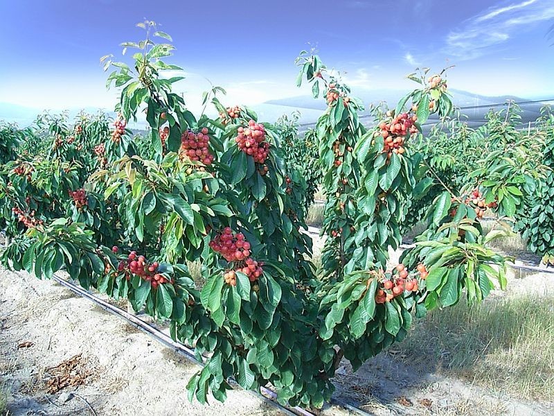 32 Harvest Lane, Old Beach TAS 7017