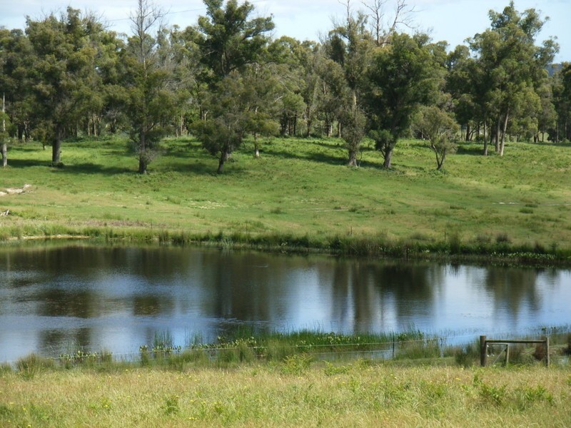 19 Terrys Road, Pipers River TAS 7252