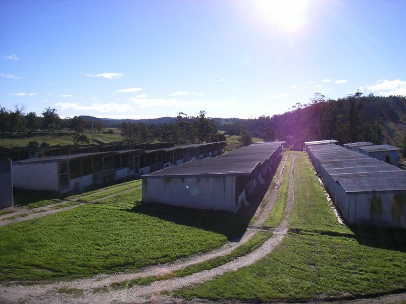 19 Terrys Road, Pipers River TAS 7252