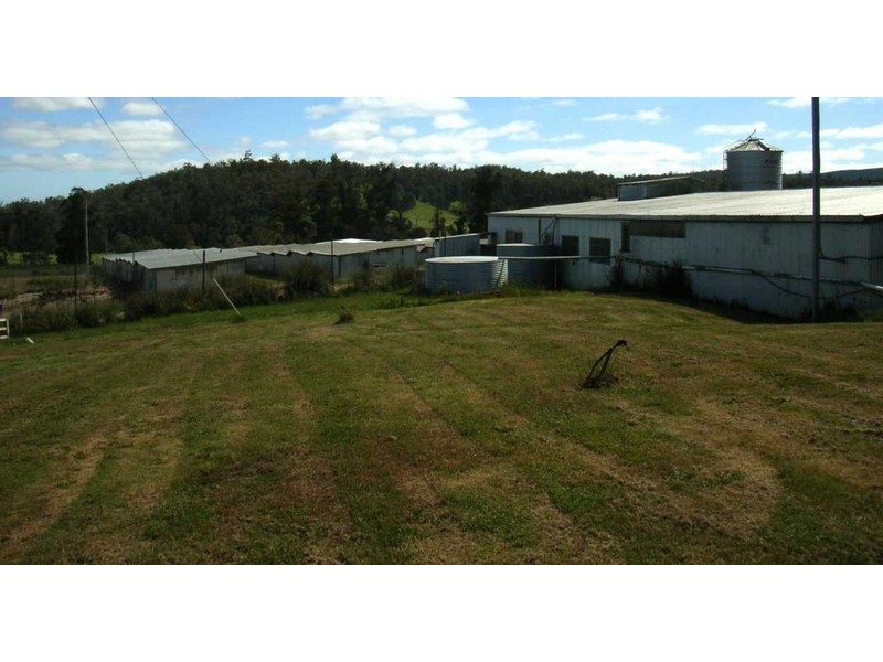 19 Terrys Road, Pipers River TAS 7252