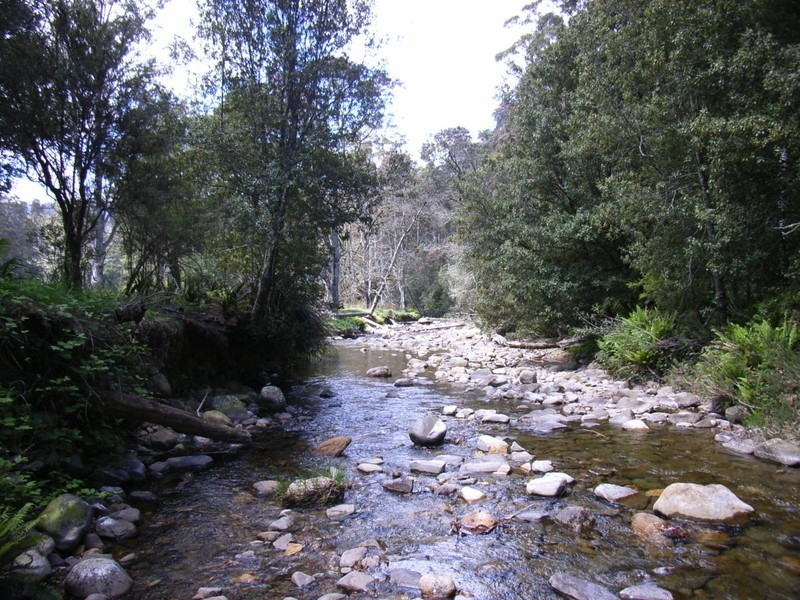 614 Gulf Road, Liffey TAS 7301