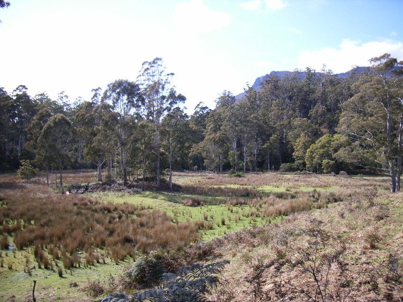 614 Gulf Road, Liffey TAS 7301