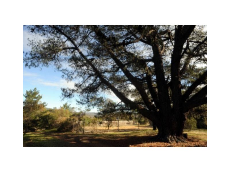 513 Hobart Road, Franklin Village, Youngtown TAS 7249