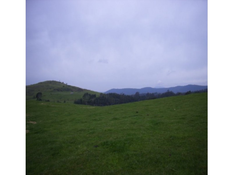 794 Golconda Road, Lebrina TAS 7254