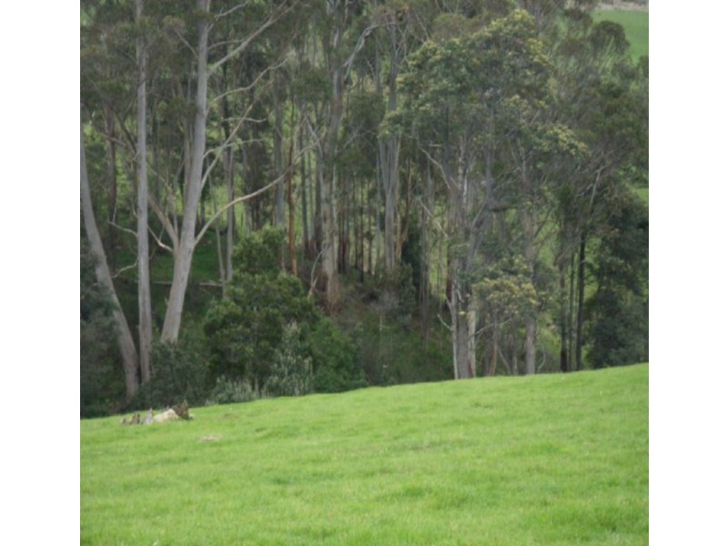 794 Golconda Road, Lebrina TAS 7254