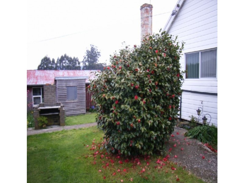 794 Golconda Road, Lebrina TAS 7254