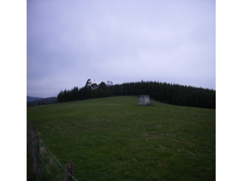 794 Golconda Road, Lebrina TAS 7254