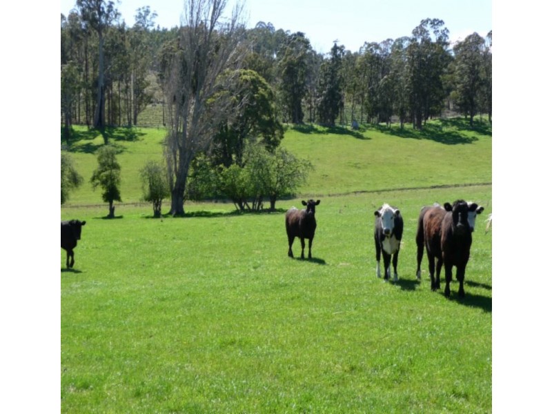 Blessington TAS 7212