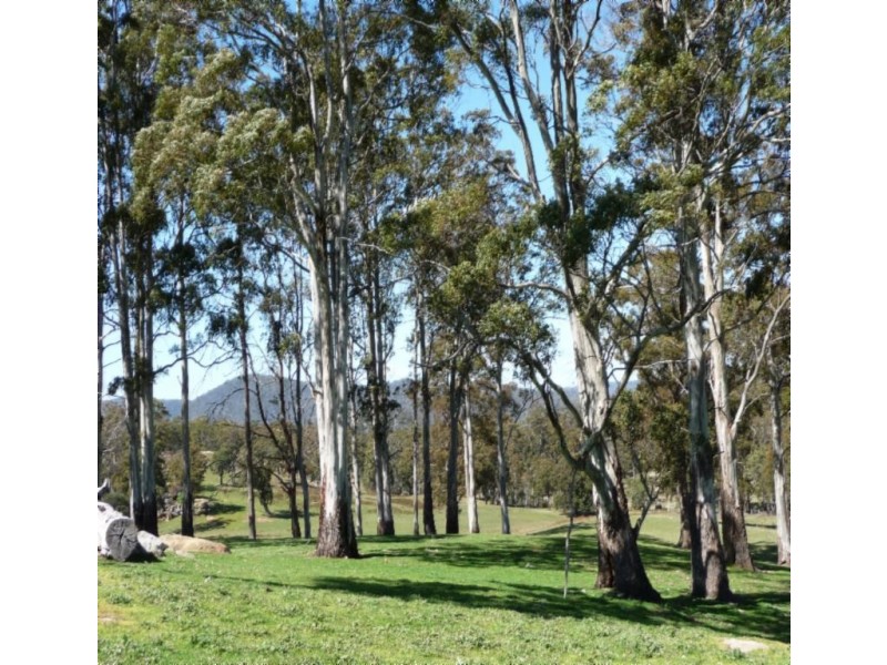 Blessington TAS 7212